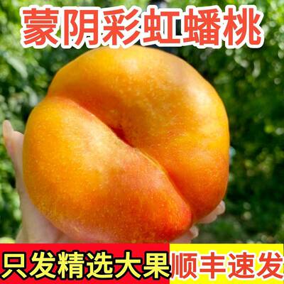 黄金油蟠桃新鲜水果当季整箱应季孕妇扁桃子山东蒙阴脆甜彩虹蟠桃