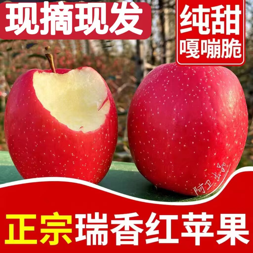 正宗瑞香红苹果纯甜脆爽香气苹果应季当季新鲜水果图片