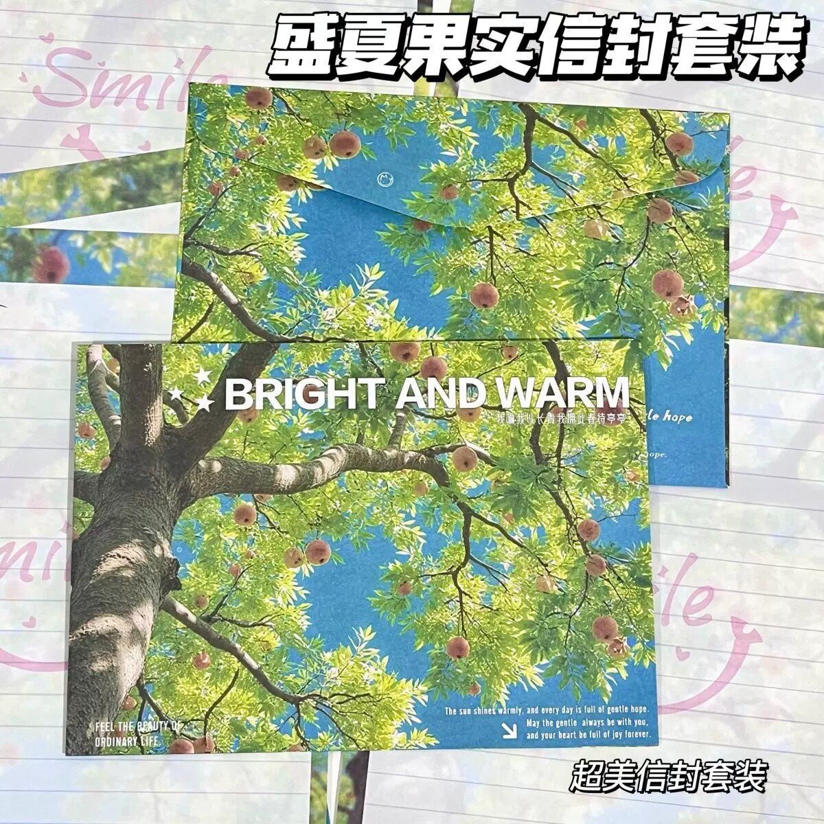 盛夏果实文艺信封信纸套装