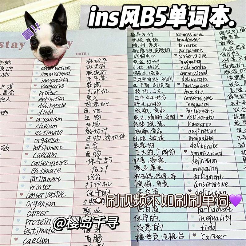 小红书同款B5英语单词本计划本