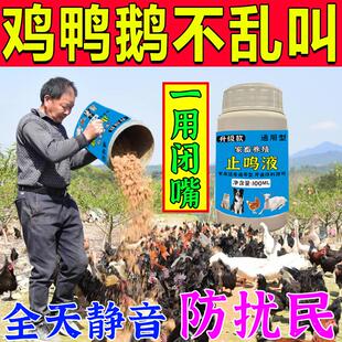 防止鸡鸭鹅乱叫神器抑制叫声早晚睡不好防扰民通用营养哑