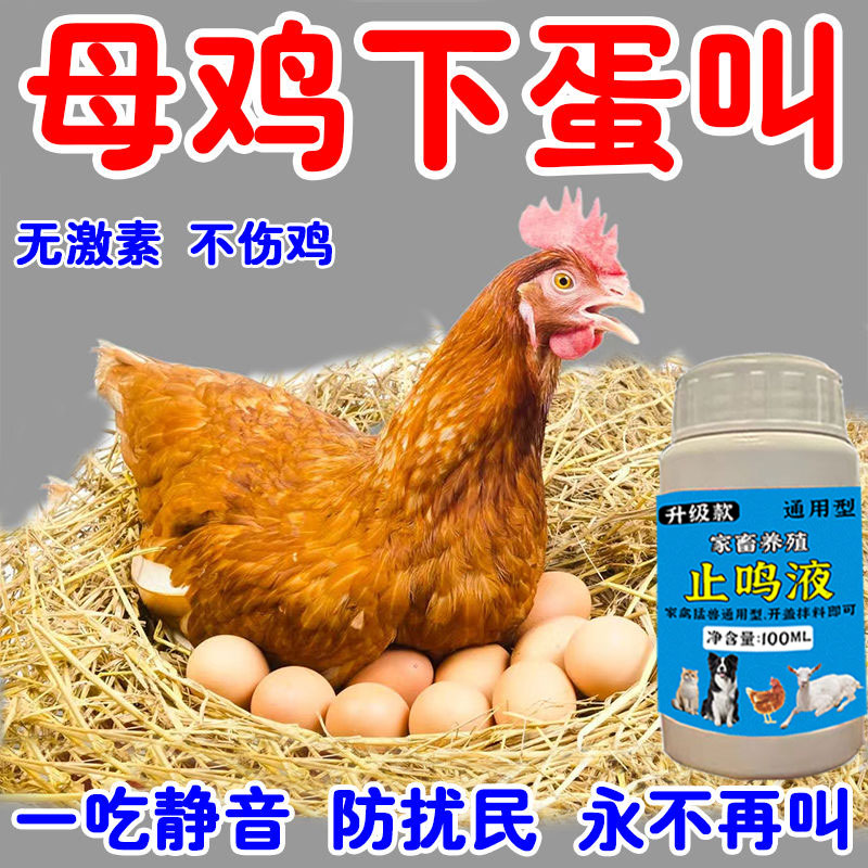 鸡止鸣不伤鸡安抚情绪防打架