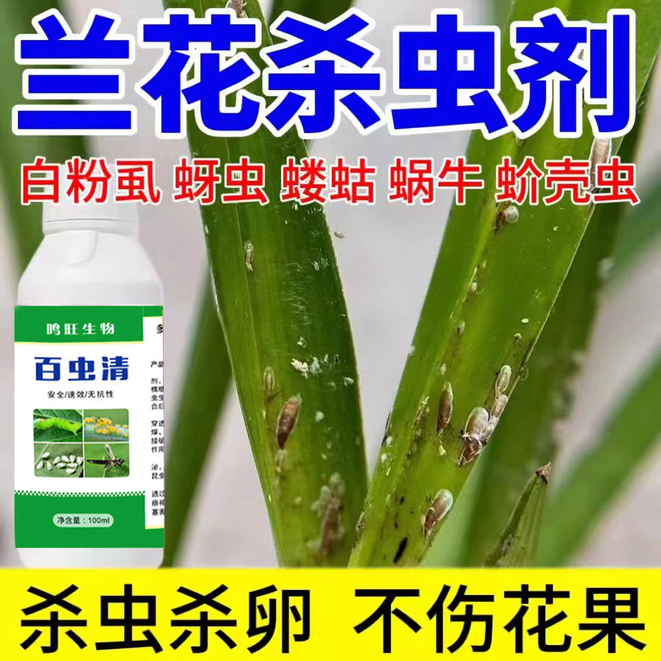 兰花杀虫剂【不伤花】蚜虫蚧壳虫红蜘蛛花卉灭虫植物专用除虫剂,鲜花速递/花卉仿真/绿植园艺,家庭园艺肥料,淘宝优惠券,粉丝福利购,淘宝优惠卷