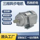 三相异步电动机1.5W4极卧式 铁壳交流电机电机马达三相电机电动机