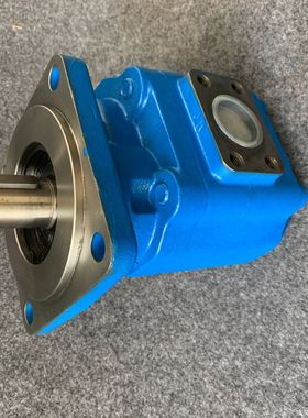 厂家供应  CBKP100/63/40-BFP  齿轮泵  多种规格