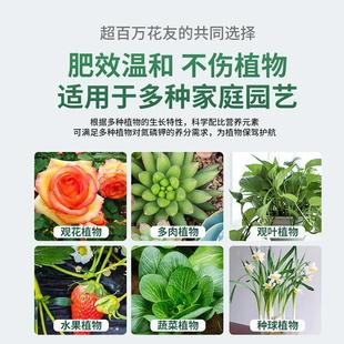 土壤活化剂宝植物黑水肥料营养液养花浇花通用型绿植花卉盆栽花肥