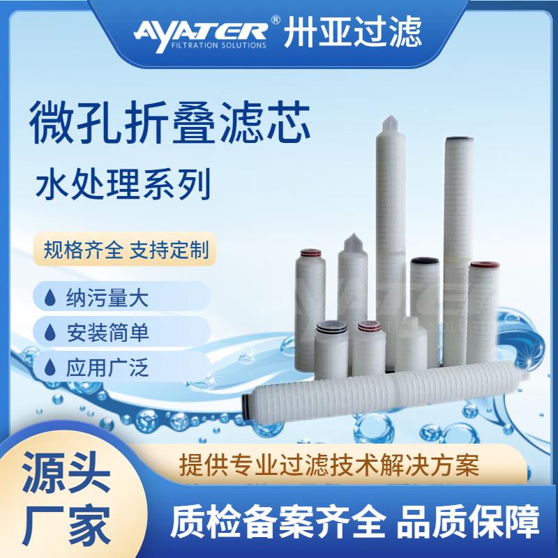 微孔折叠滤芯亲水性聚四氟乙烯ptfe0.22um保安过滤器滤芯