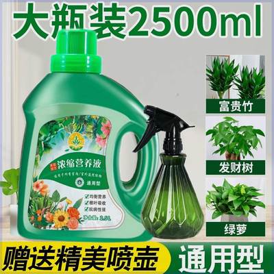 营养液植物通用型花肥家用盆栽发财树富贵竹绿萝水培花卉绿植肥料