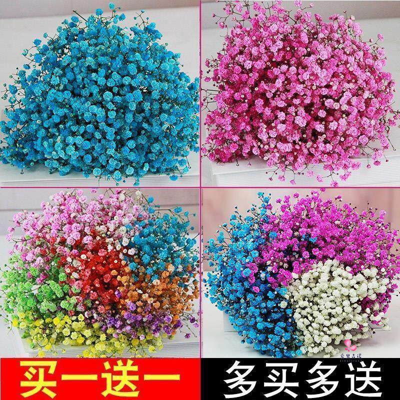 满天星鲜花新鲜真花直批满天星鲜花新鲜真花直批生日礼物送人装图片