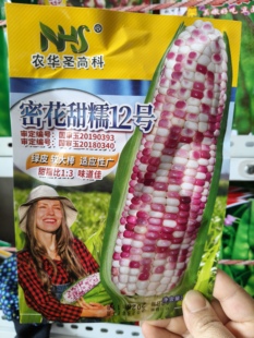 密花甜糯12号彩甜糯玉米种子农家花糯玉米籽甜加糯花玉米种籽