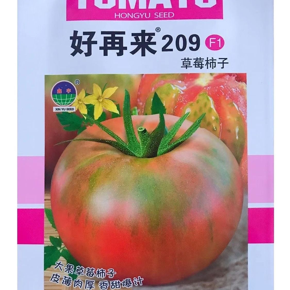 《209草莓柿子种子》铁皮柿子水果柿子种子