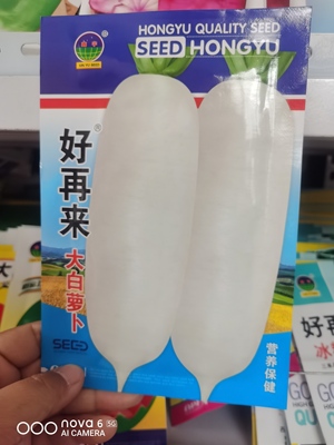 好再来大白萝卜种子白色马耳早萝卜种子