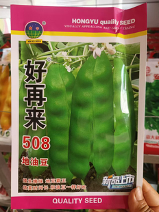【508地油豆种子】50克好再来不搭架豆角东北正宗油豆