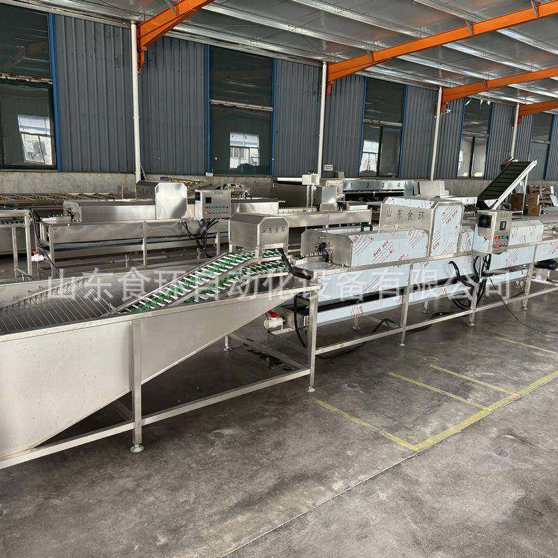 全自动蛋类清洗机鸡蛋鸭蛋鹅蛋洗蛋机不锈钢高压喷淋洗蛋机,清洗/食品/商业设备,其他食品加工设备,淘宝优惠券,粉丝福利购,淘宝优惠卷