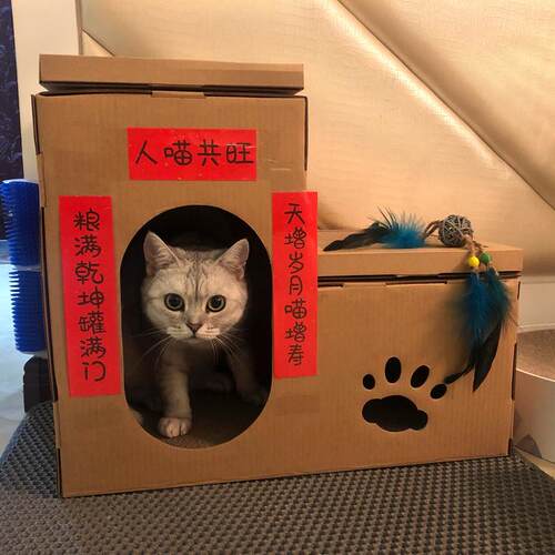 立式猫抓板猫窝一体猫房子双层猫屋磨爪器耐磨不掉屑保护沙发通用