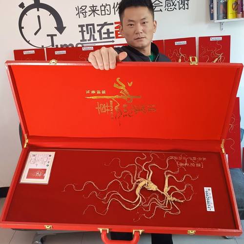 长白山野山参林下参人参礼盒装