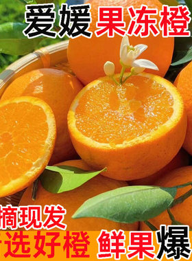 四川爱媛38号果冻橙9斤橙子新鲜