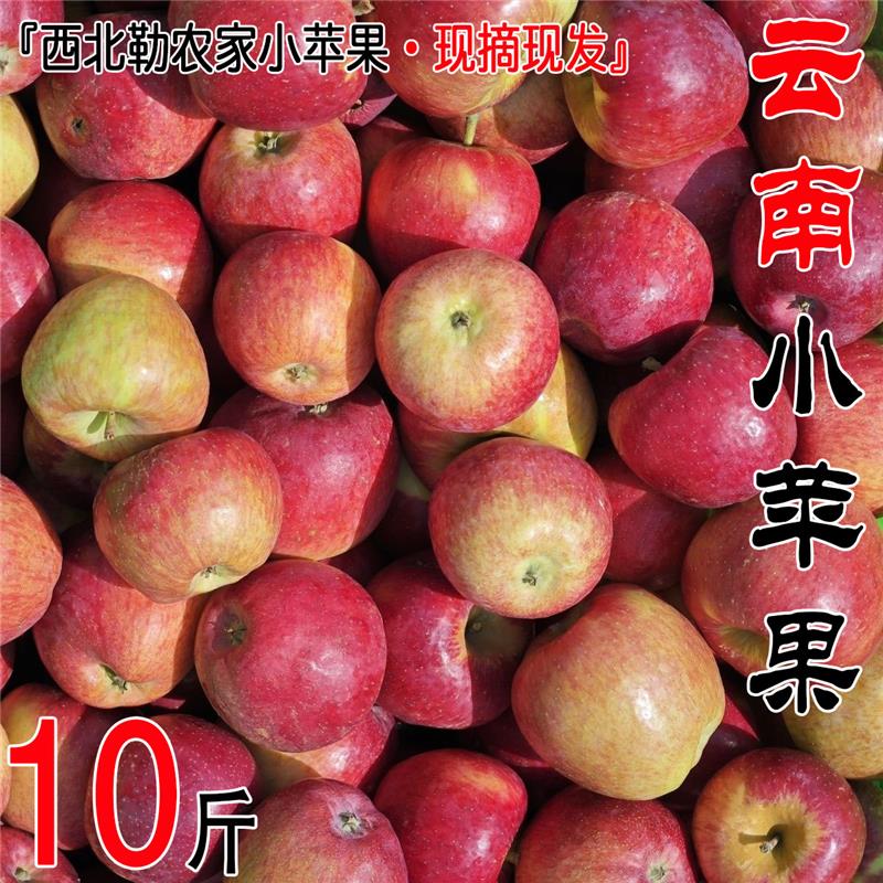 云南樱桃小苹果脆甜高原红露