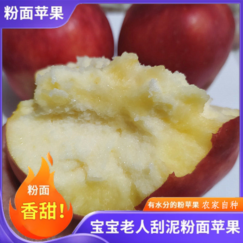 山东新鲜粉面沙甜苹果红星苹图片