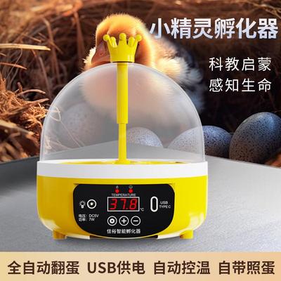 孵蛋器小鸡养殖设备孵化器小型家用儿童孵化机迷你全自动孵蛋器