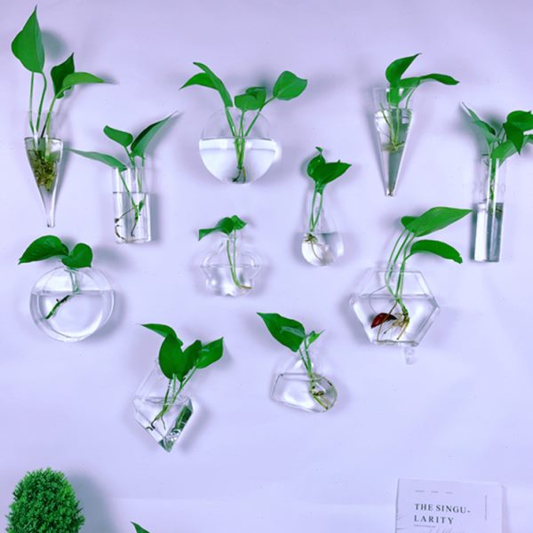 餐厅简约客厅玻璃花瓶创意壁挂花盆墙上墙面壁饰挂件绿萝水培绿植