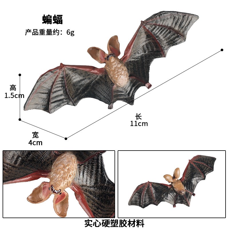 儿童认知仿真静态l实心动物模型玩具飞行动物彩蝠蝙蝠狐蝠手办摆
