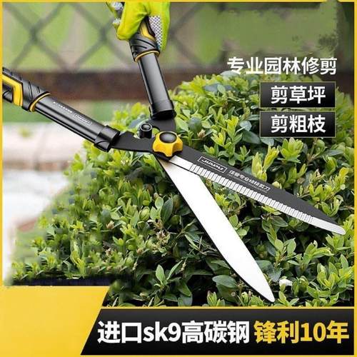 修枝剪剪树枝专用剪刀大省力园林园艺修花果树绿篱剪树木树枝园艺