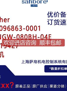 Loher L1096863-0001 DNGW-080BH-04E 2319427 电机 询价