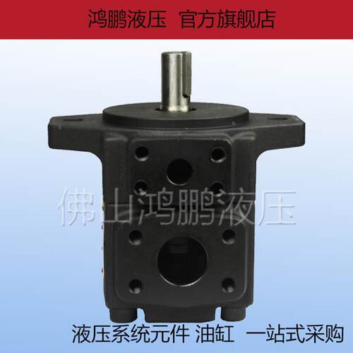 全新原装 YBE系列液压油泵叶片泵罗定泵YB-E50 63 80 125 160 200