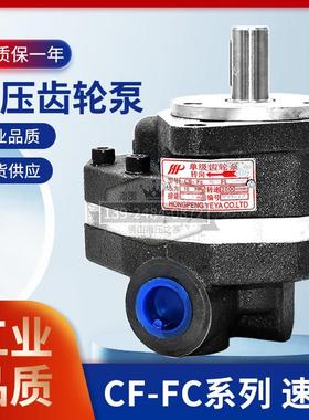 中压齿轮油泵CB-FC10 矿山机械 叉车油泵 16MPA CB-FC16 FA18