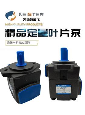 凯斯特KEISTER叶片泵PV2R1-10 14 17 19 23 25 28 31-FR 液压油泵