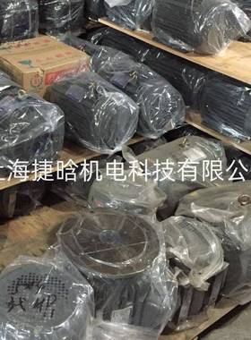 S.Y群策液压电机 C15-63B0 15HP-6P 11KW 尺寸配A37 直插油泵电机