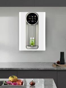 款 复旦申花管线机壁挂式 热卖 饮水机家用速热语音智能线管直饮机