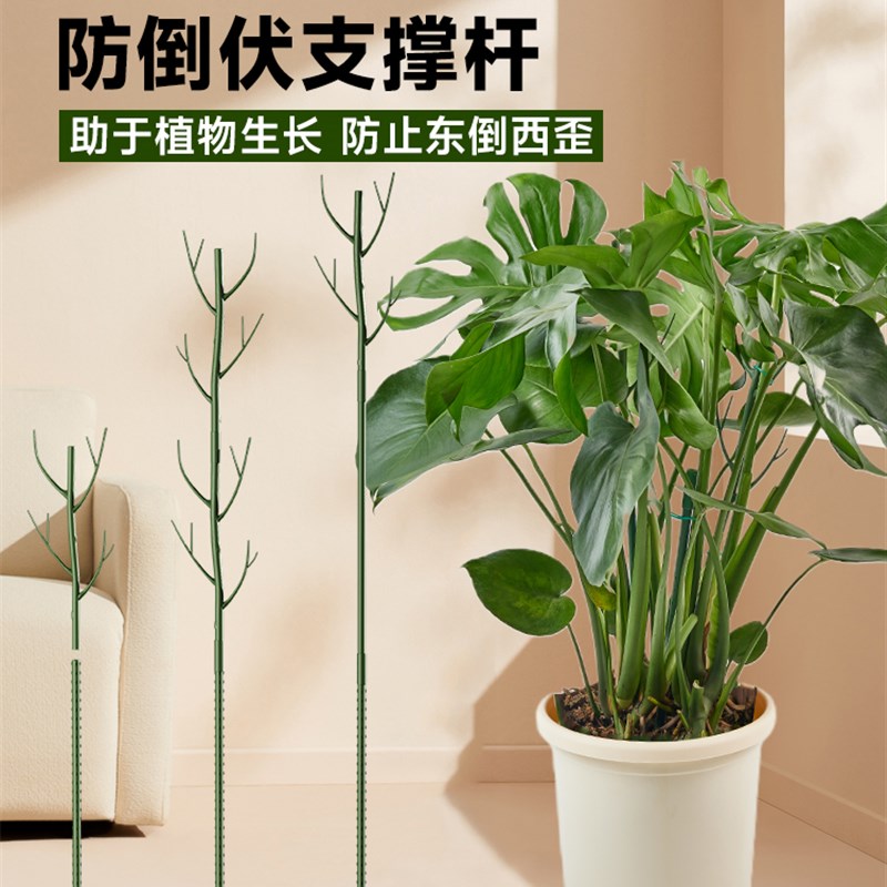 花架支撑杆龟背竹支撑架老桩月季植物爬藤防倒伏固定园艺造型支架