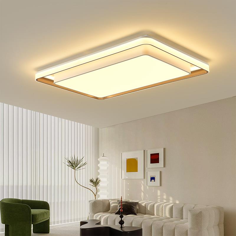 网红现代新款简约主卧室灯具北欧轻奢大气房间客厅书房LED吸顶灯