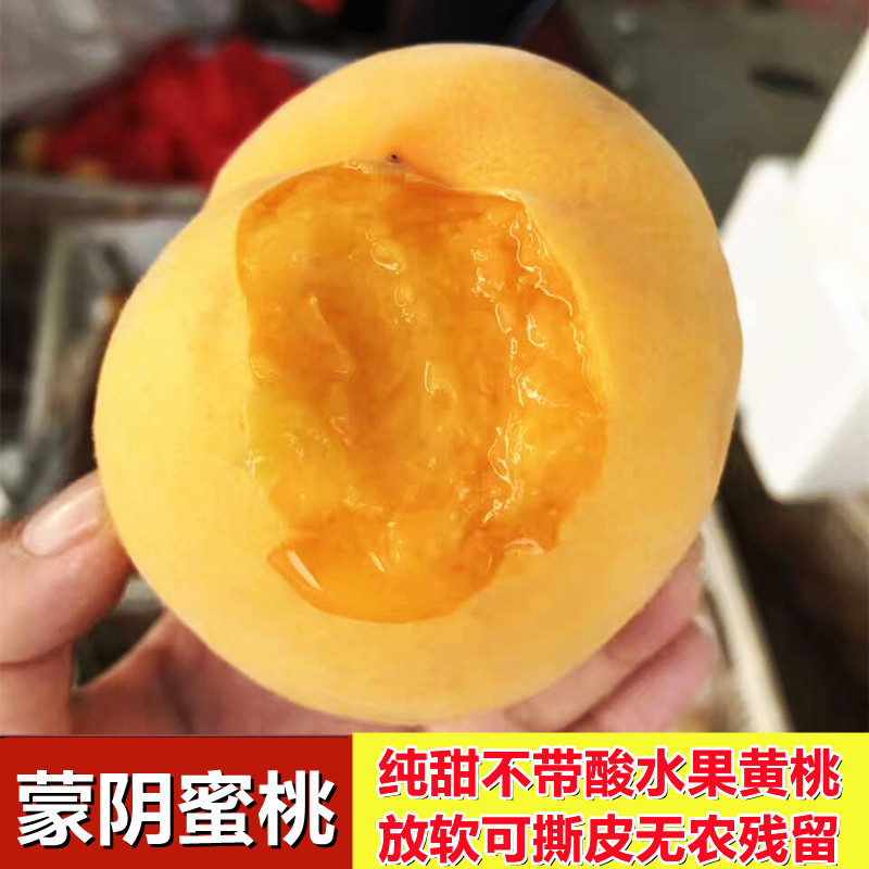 京东/顺丰包邮 山东蒙阴黄金桃桃