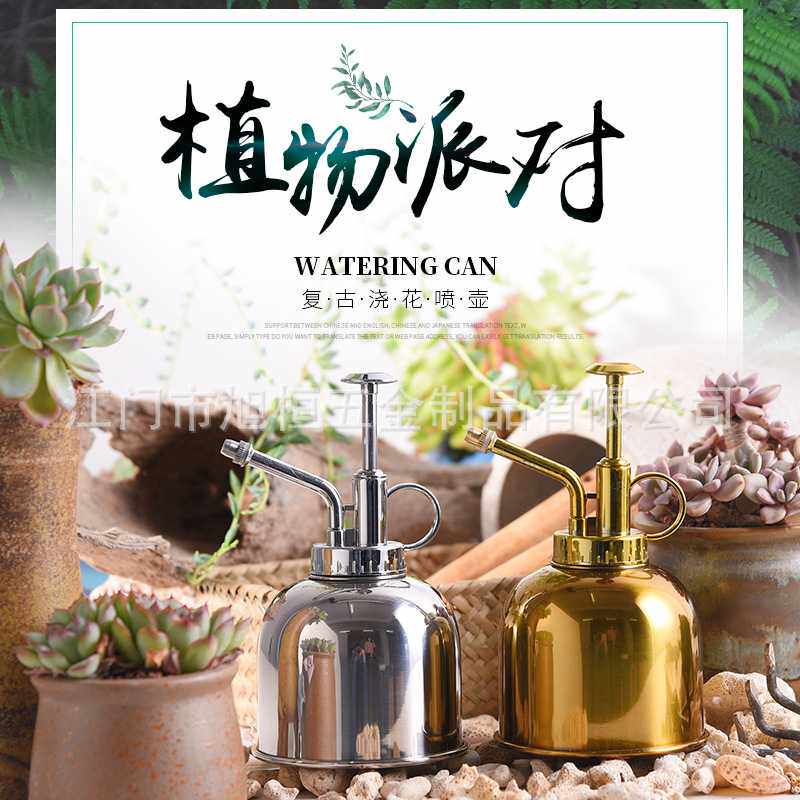 不锈钢洒水壶金属浇花水壶喷壶园艺淋花壶300ML喷雾瓶