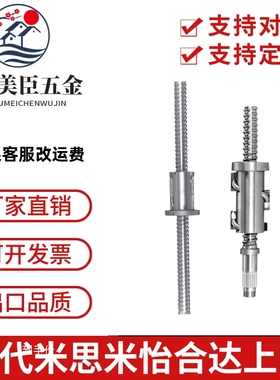 滚珠丝杆丝杠ZFT SFT DFT LPFT LPFT LSFT 6310 6320 6340 6350