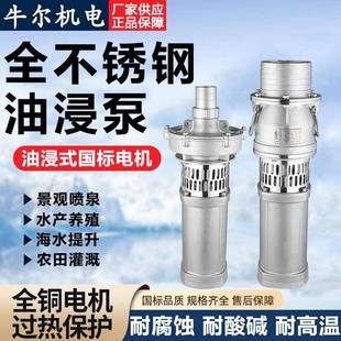 全不锈钢潜水泵304316耐腐蚀大流量海水泵景观工程喷泉泵 QY油浸式