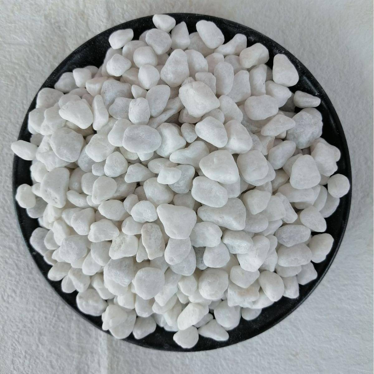 然鹅卵石白园色小石头铺路水磨石石汉白玉林景观枯山天水白XJI石