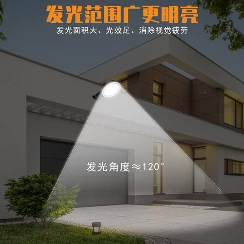 谦润照明LD灯庭院灯100W12EW0W70W谷仓灯防水感应壁2835谷仓灯户