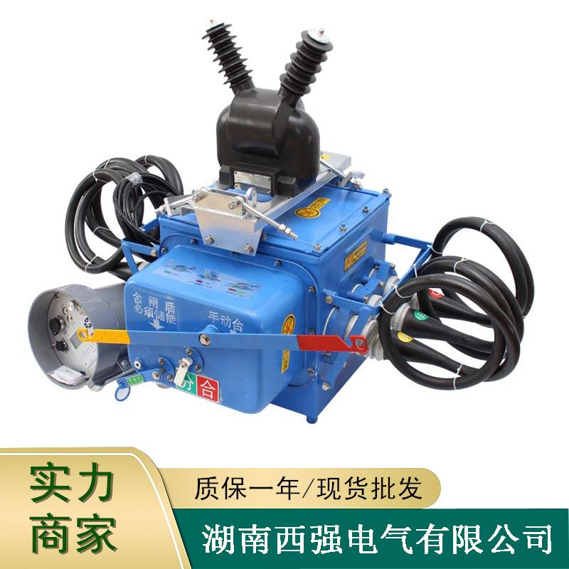 FZWF-/T户外分界智能真空断路器KV高压电动负荷杆上开关