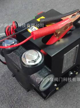 WKZ-70-12V直流抽油泵 12v24v直流自吸油泵 大功率550w直流油泵