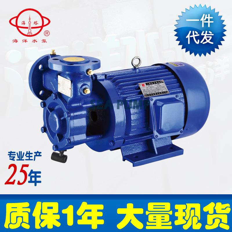 厂家供应W型单级旋涡泵漩涡泵锅炉专用泵高压清水漩涡泵