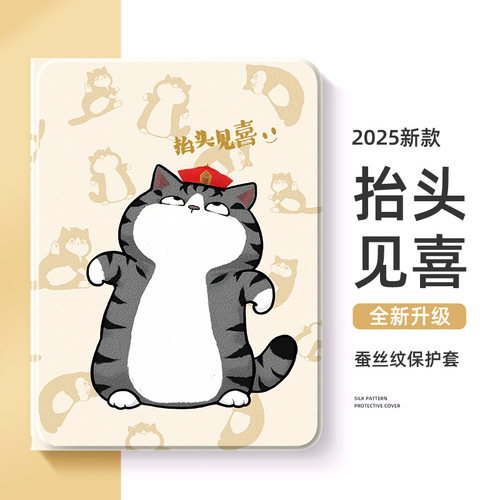 适用于ipad平板保护壳吾皇猫熊猫