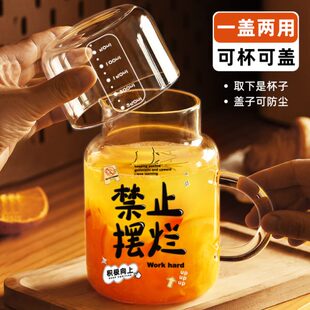 带盖耐热2024大容量带把喝水杯刻度女泡茶杯玻璃杯 男杯子家用新款