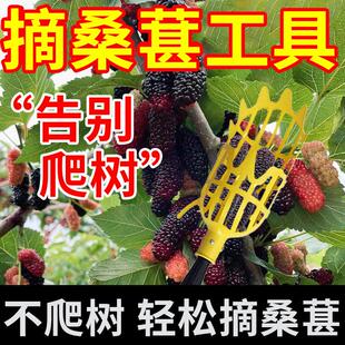 摘桑葚神器可伸缩3米杆采摘器摘枇杷神器采高空樱桃李子水果摘果