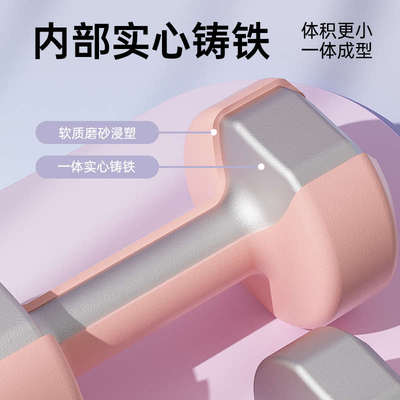 哑铃女士健身家用锻炼纯铁小哑铃1kg/2kg/3kg练臂肌男士器材一对