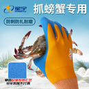 备工具防刺防水防扎加厚防滑耐磨 赶海手套抓螃蟹防夹手成人亲子装