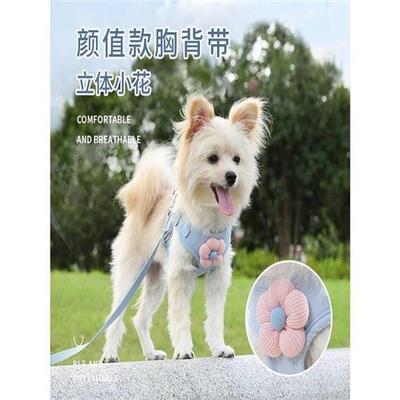 狗狗牵引绳背心式小型犬泰迪比熊博美专用胸背带幼犬链子遛狗绳